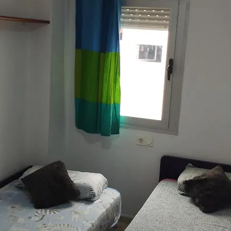 Disfruta Granada,incluso Con Tu Mascota Parking