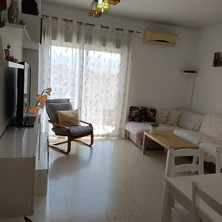 Disfruta Granada,incluso Con Tu Mascota Parking *