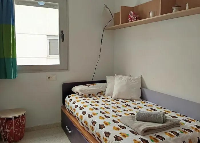 Disfruta Granada, Parking Y Mascotas